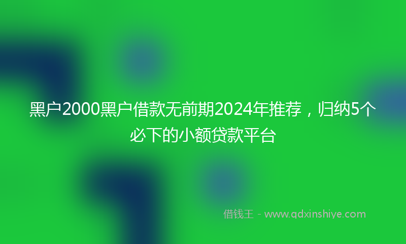 黑户2000黑户借款无前期2024年推荐，归纳5个必下的小额贷款平台