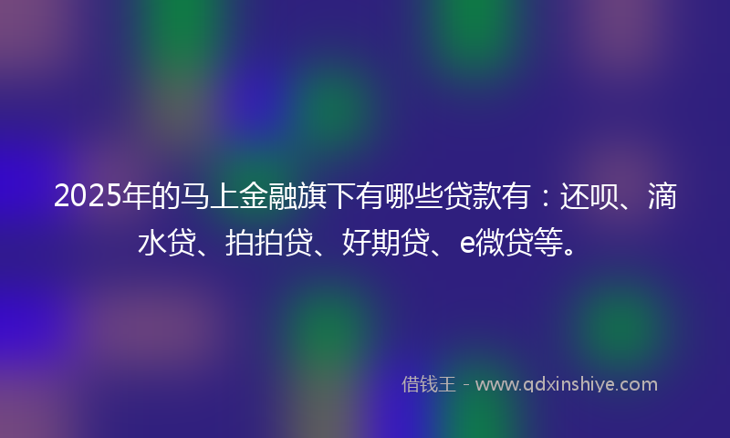 2025年的马上金融旗下有哪些贷款有：还呗、滴水贷、拍拍贷、好期贷、e微贷等。