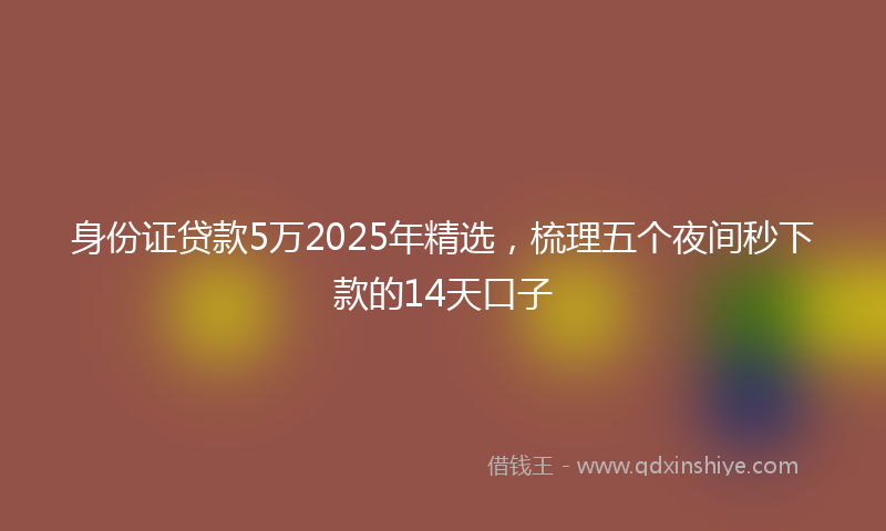 身份证贷款5万2025年精选，梳理五个夜间秒下款的14天口子