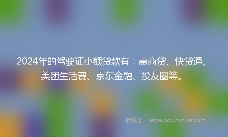 2024年的驾驶证小额贷款有：惠商贷、快贷通、美团生活费、京东金融、投友圈等。
