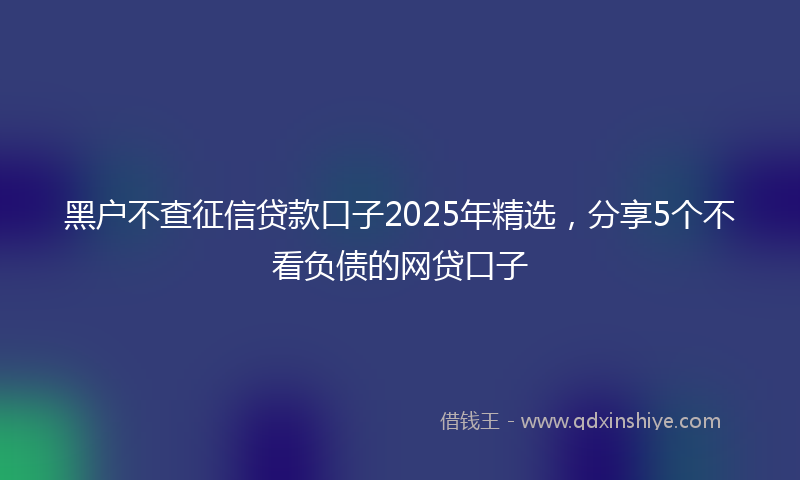 黑户不查征信贷款口子2025年精选，分享5个不看负债的网贷口子
