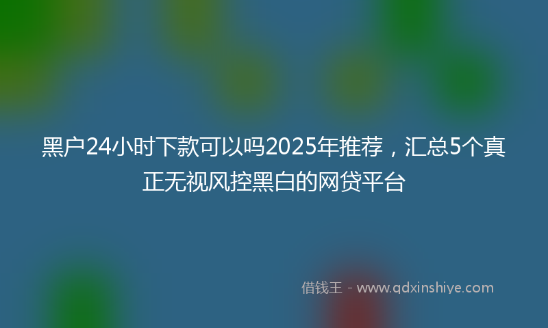 黑户24小时下款可以吗2025年推荐，汇总5个真正无视风控黑白的网贷平台