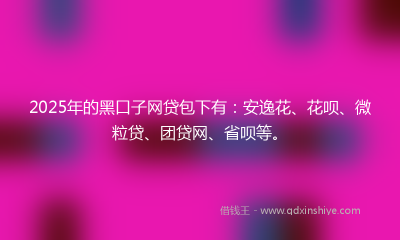 2025年的黑口子网贷包下有：安逸花、花呗、微粒贷、团贷网、省呗等。