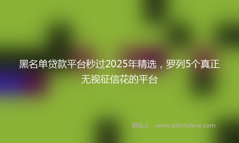 黑名单贷款平台秒过2025年精选，罗列5个真正无视征信花的平台