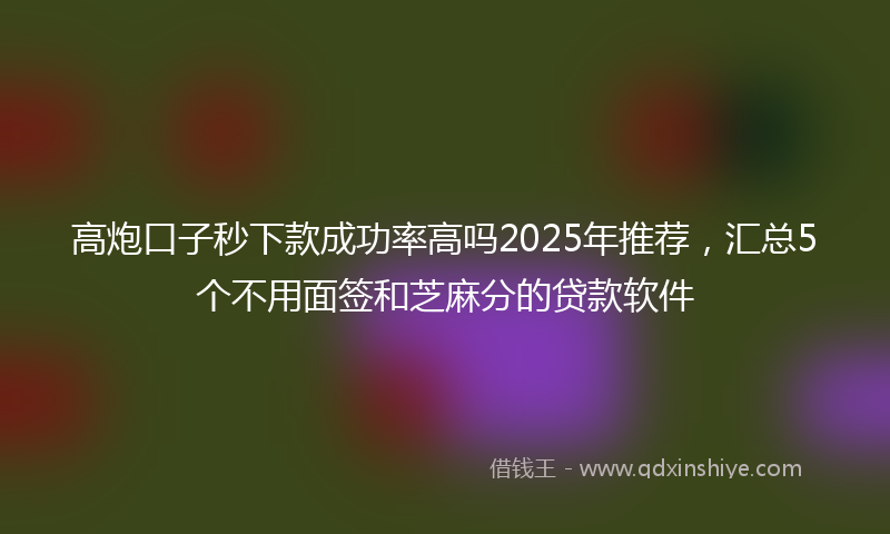 高炮口子秒下款成功率高吗2025年推荐，汇总5个不用面签和芝麻分的贷款软件