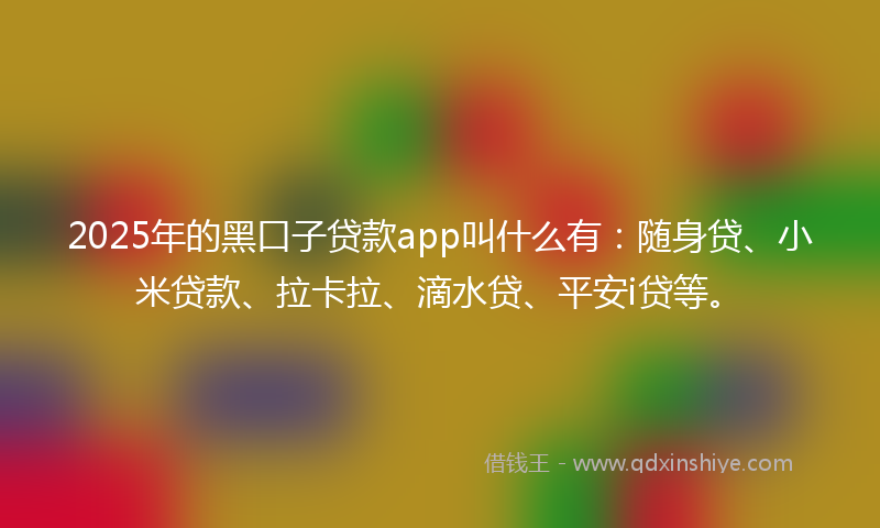 2025年的黑口子贷款app叫什么有：随身贷、小米贷款、拉卡拉、滴水贷、平安i贷等。