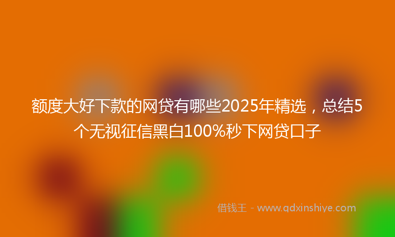 额度大好下款的网贷有哪些2025年精选，总结5个无视征信黑白100%秒下网贷口子