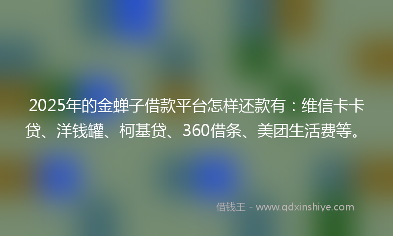2025年的金蝉子借款平台怎样还款有：维信卡卡贷、洋钱罐、柯基贷、360借条、美团生活费等。