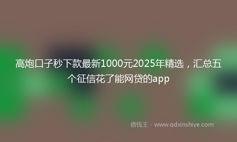 高炮口子秒下款最新1000元2025年精选，汇总五个征信花了能网贷的app