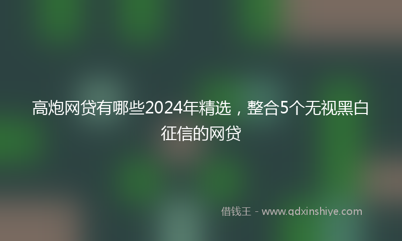 高炮网贷有哪些2024年精选，整合5个无视黑白征信的网贷