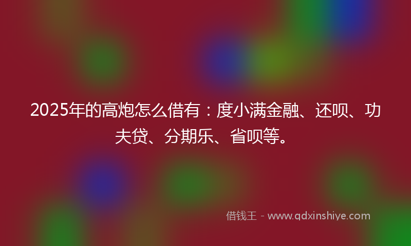 2025年的高炮怎么借有：度小满金融、还呗、功夫贷、分期乐、省呗等。