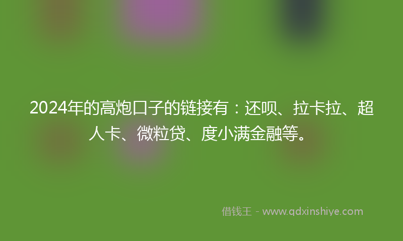 2024年的高炮口子的链接有：还呗、拉卡拉、超人卡、微粒贷、度小满金融等。