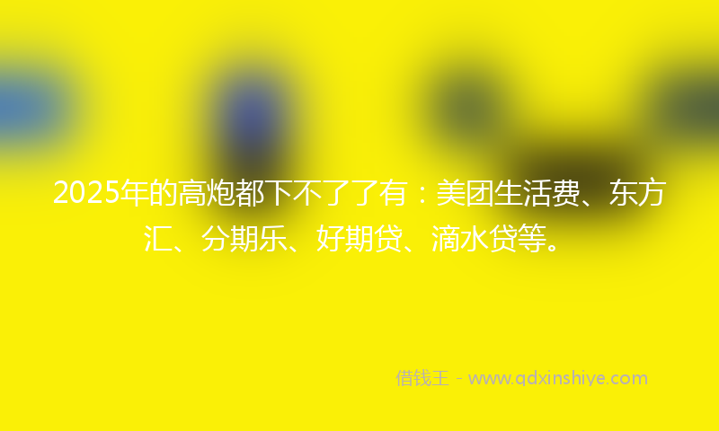 2025年的高炮都下不了了有：美团生活费、东方汇、分期乐、好期贷、滴水贷等。