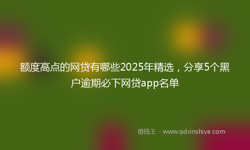 额度高点的网贷有哪些2025年精选，分享5个黑户逾期必下网贷app名单