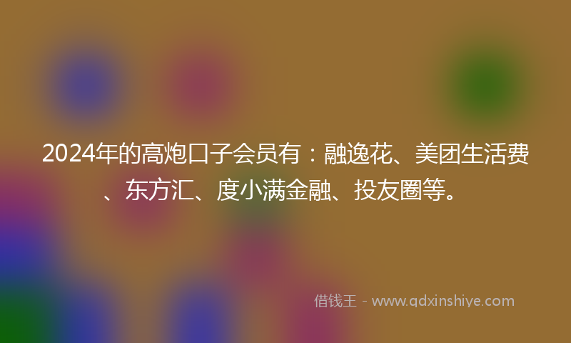 2024年的高炮口子会员有：融逸花、美团生活费、东方汇、度小满金融、投友圈等。
