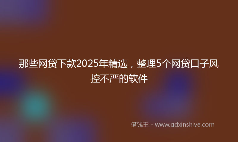 那些网贷下款2025年精选，整理5个网贷口子风控不严的软件