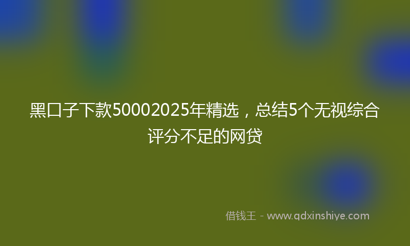 黑口子下款50002025年精选，总结5个无视综合评分不足的网贷