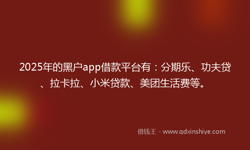 2025年的黑户app借款平台有：分期乐、功夫贷、拉卡拉、小米贷款、美团生活费等。
