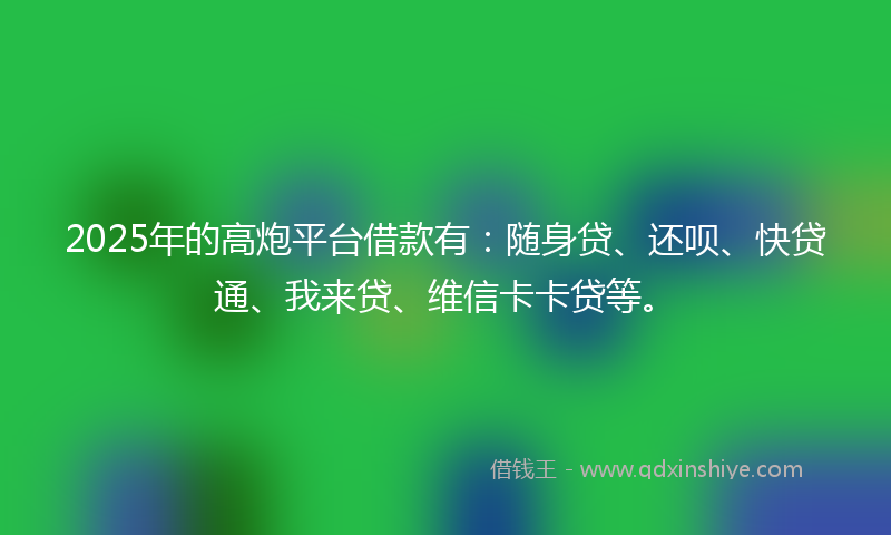2025年的高炮平台借款有：随身贷、还呗、快贷通、我来贷、维信卡卡贷等。