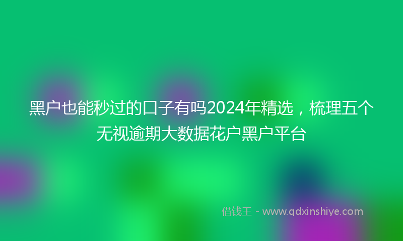 黑户也能秒过的口子有吗2024年精选，梳理五个无视逾期大数据花户黑户平台