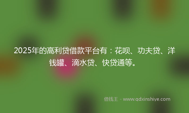 2025年的高利贷借款平台有：花呗、功夫贷、洋钱罐、滴水贷、快贷通等。