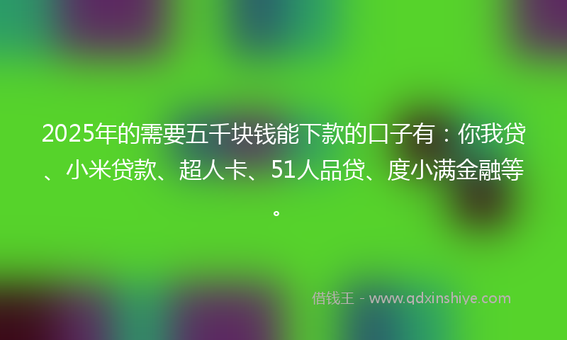 2025年的需要五千块钱能下款的口子有：你我贷、小米贷款、超人卡、51人品贷、度小满金融等。