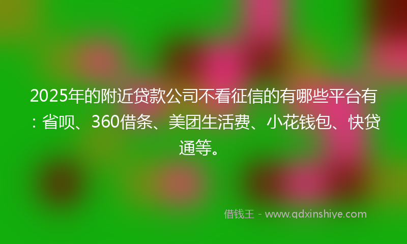 2025年的附近贷款公司不看征信的有哪些平台有：省呗、360借条、美团生活费、小花钱包、快贷通等。