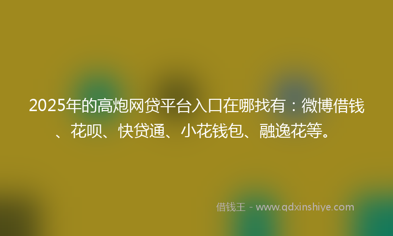 2025年的高炮网贷平台入口在哪找有：微博借钱、花呗、快贷通、小花钱包、融逸花等。