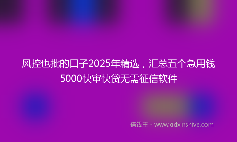 风控也批的口子2025年精选，汇总五个急用钱5000快审快贷无需征信软件
