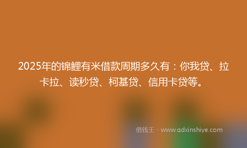2025年的锦鲤有米借款周期多久有：你我贷、拉卡拉、读秒贷、柯基贷、信用卡贷等。