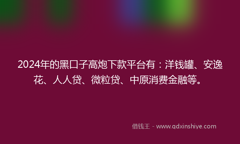 2024年的黑口子高炮下款平台有：洋钱罐、安逸花、人人贷、微粒贷、中原消费金融等。
