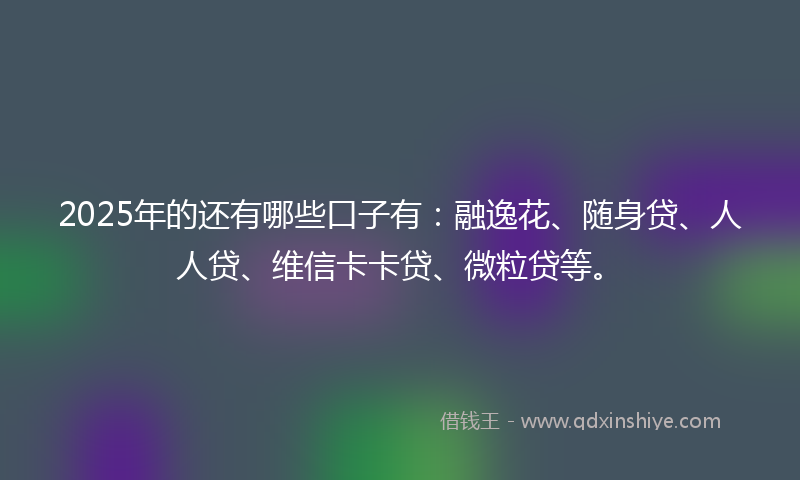 2025年的还有哪些口子有：融逸花、随身贷、人人贷、维信卡卡贷、微粒贷等。