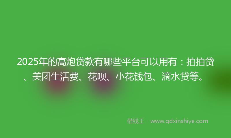 2025年的高炮贷款有哪些平台可以用有：拍拍贷、美团生活费、花呗、小花钱包、滴水贷等。