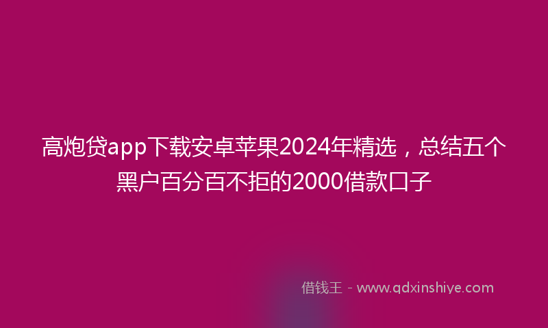 高炮贷app下载安卓苹果2024年精选，总结五个黑户百分百不拒的2000借款口子