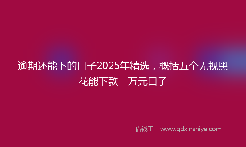 逾期还能下的口子2025年精选，概括五个无视黑花能下款一万元口子