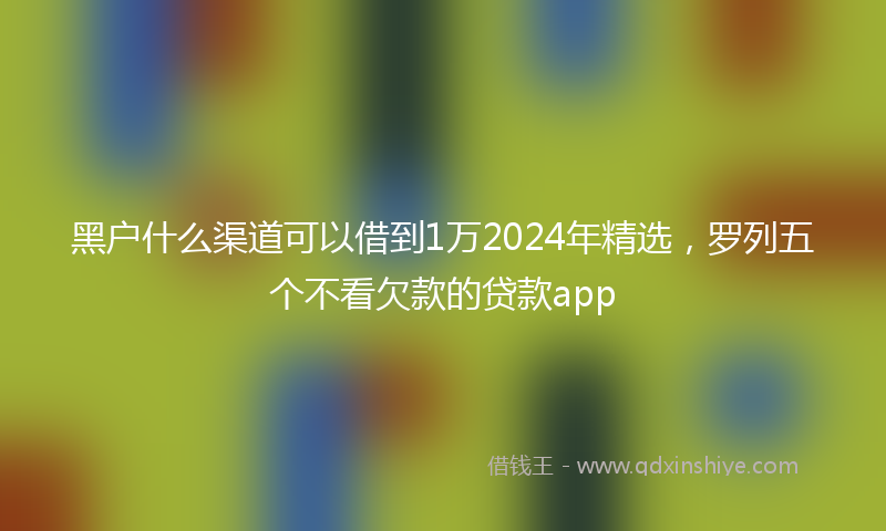 黑户什么渠道可以借到1万2024年精选，罗列五个不看欠款的贷款app