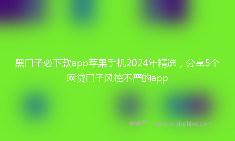 黑口子必下款app苹果手机2024年精选，分享5个网贷口子风控不严的app