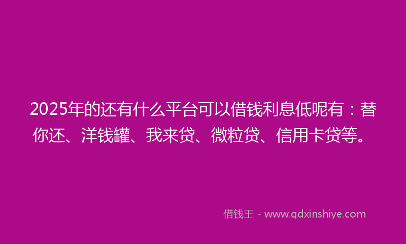 2025年的还有什么平台可以借钱利息低呢有：替你还、洋钱罐、我来贷、微粒贷、信用卡贷等。