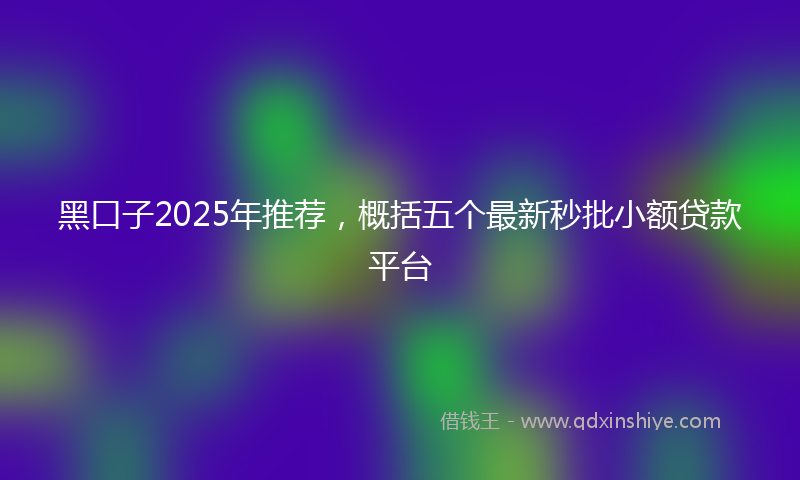 黑口子2025年推荐，概括五个最新秒批小额贷款平台