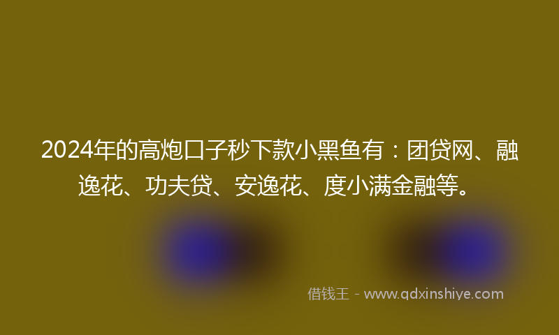 2024年的高炮口子秒下款小黑鱼有：团贷网、融逸花、功夫贷、安逸花、度小满金融等。