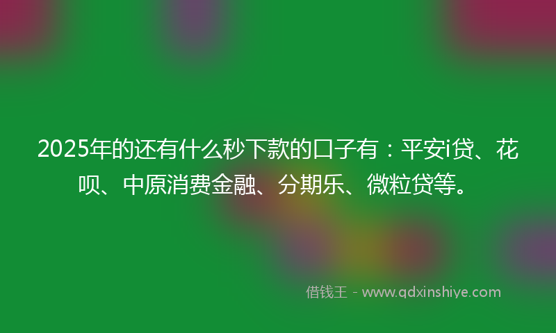 2025年的还有什么秒下款的口子有：平安i贷、花呗、中原消费金融、分期乐、微粒贷等。