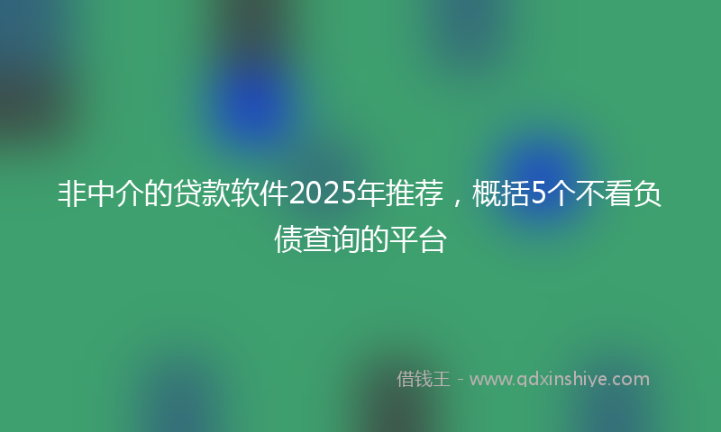 非中介的贷款软件2025年推荐，概括5个不看负债查询的平台