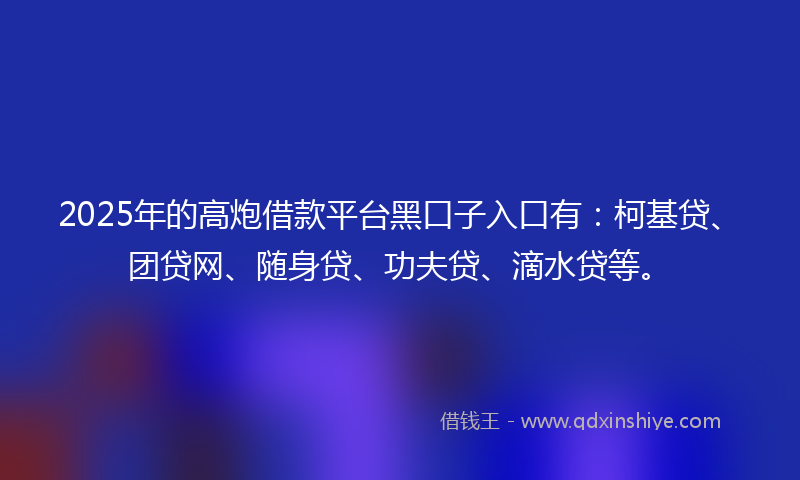 2025年的高炮借款平台黑口子入口有：柯基贷、团贷网、随身贷、功夫贷、滴水贷等。