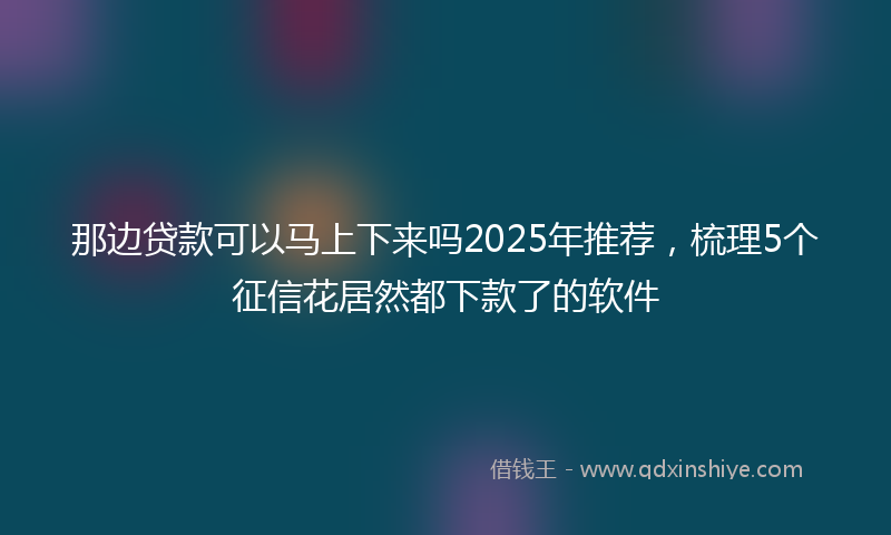 那边贷款可以马上下来吗2025年推荐，梳理5个征信花居然都下款了的软件