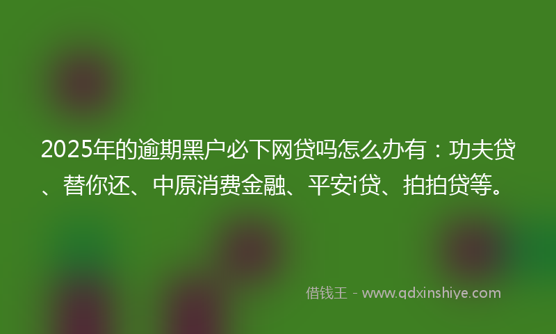 2025年的逾期黑户必下网贷吗怎么办有：功夫贷、替你还、中原消费金融、平安i贷、拍拍贷等。