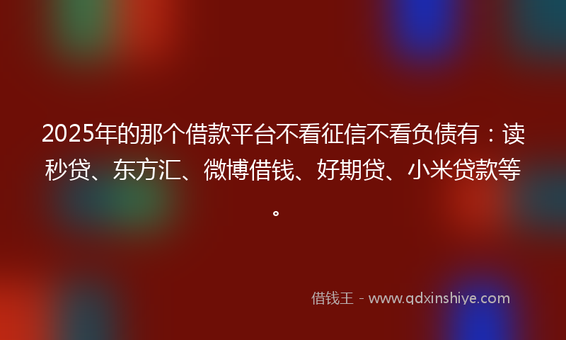 2025年的那个借款平台不看征信不看负债有：读秒贷、东方汇、微博借钱、好期贷、小米贷款等。