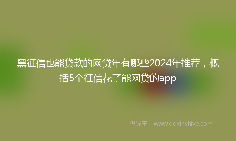 黑征信也能贷款的网贷年有哪些2024年推荐，概括5个征信花了能网贷的app