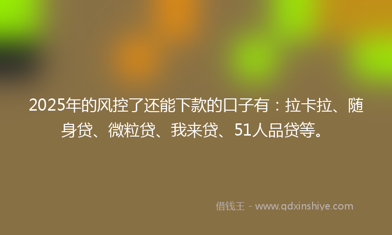 2025年的风控了还能下款的口子有：拉卡拉、随身贷、微粒贷、我来贷、51人品贷等。