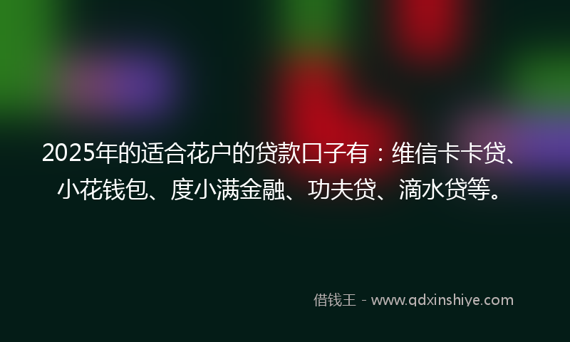 2025年的适合花户的贷款口子有：维信卡卡贷、小花钱包、度小满金融、功夫贷、滴水贷等。