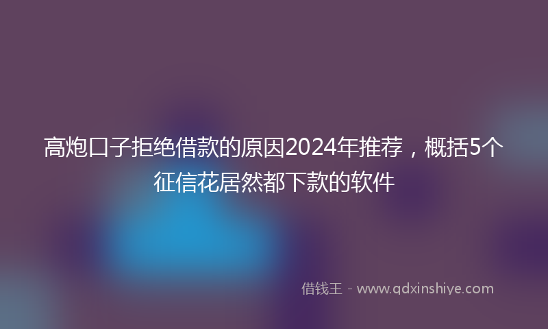 高炮口子拒绝借款的原因2024年推荐，概括5个征信花居然都下款的软件